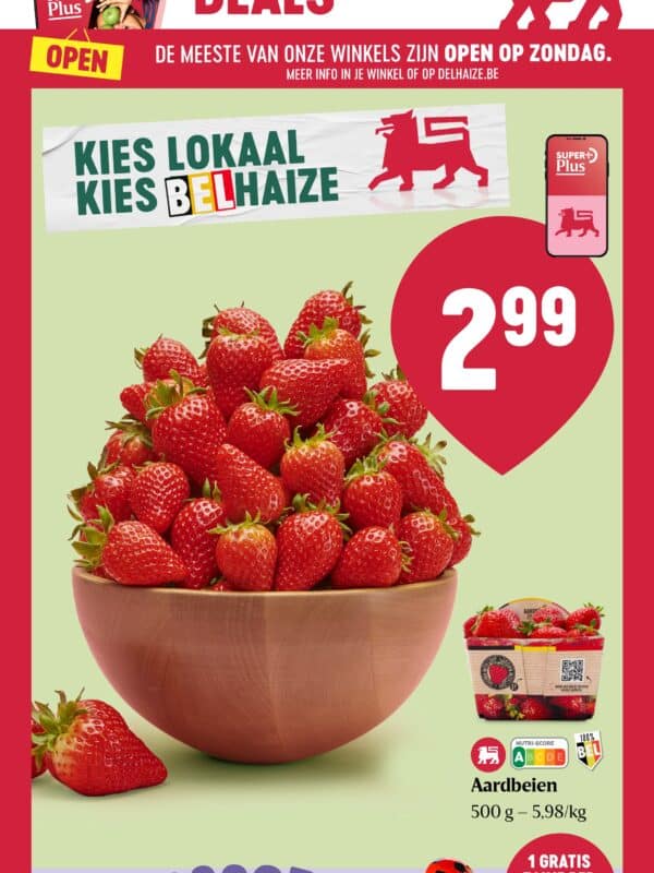 Delhaize folder