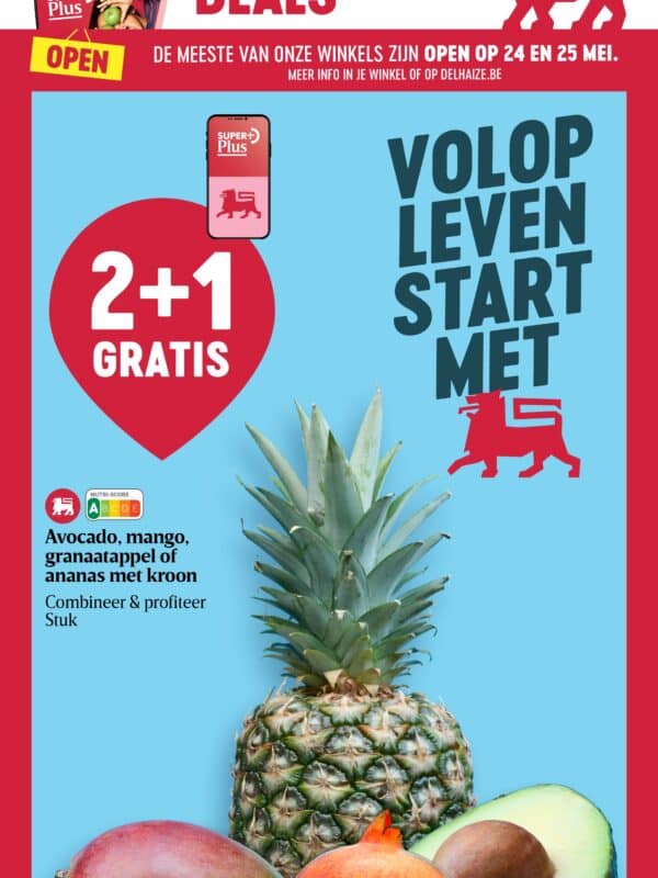 Delhaize folder