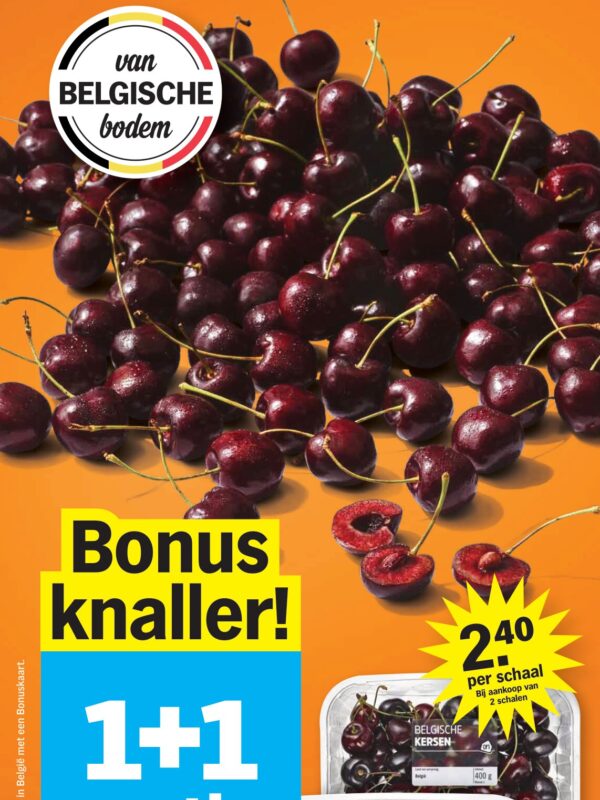 Albert Heijn folder