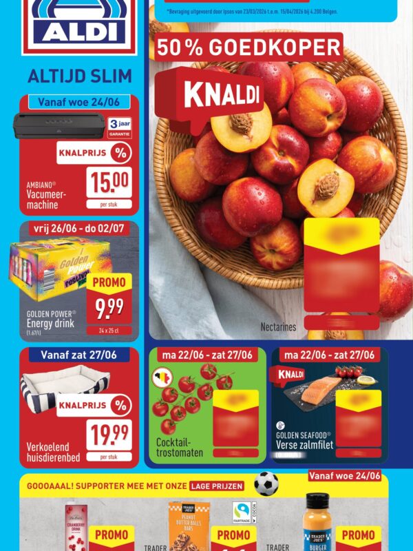 Aldi folder