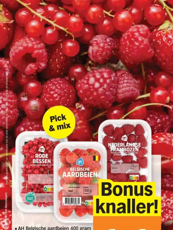 Albert Heijn folder