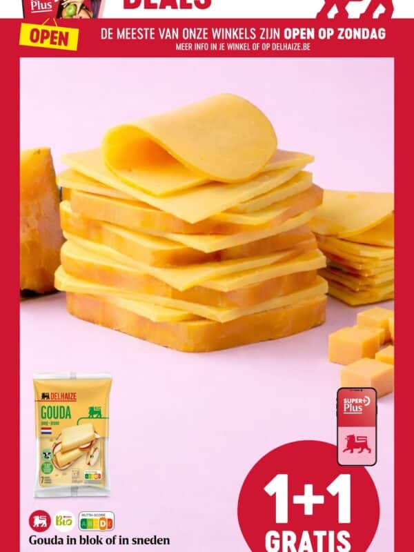 Delhaize folder