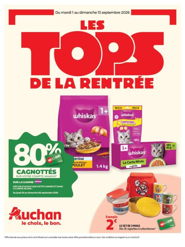 Auchan folder