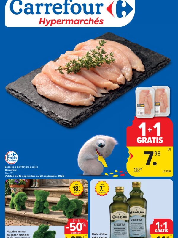 Carrefour folder